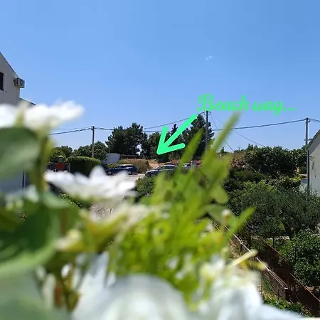 Triva Apartman *
